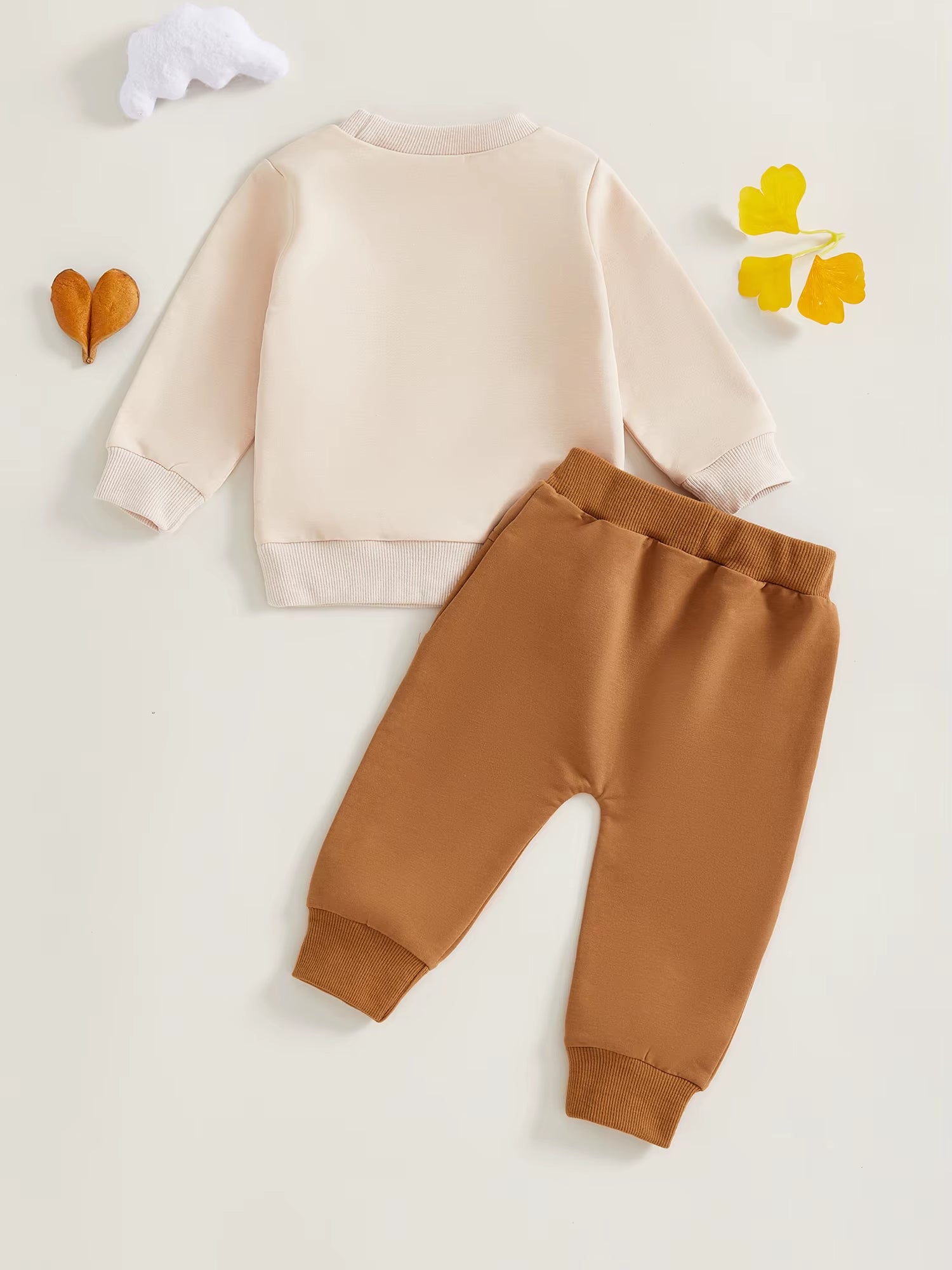 Boys Fall 2-Piece Outfit Set with Long Sleeve O Neck Top Featuring Duck Embroidery and Solid Color Pants